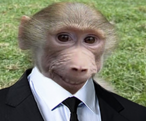 A strapping young monkey named Pubert